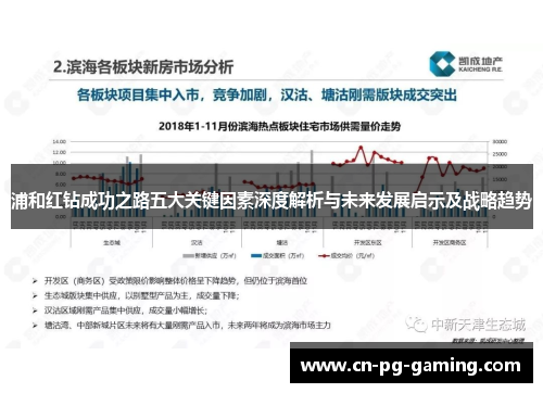 浦和红钻成功之路五大关键因素深度解析与未来发展启示及战略趋势