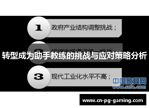 转型成为助手教练的挑战与应对策略分析 转型成为助手教练的挑战与应对策略分析